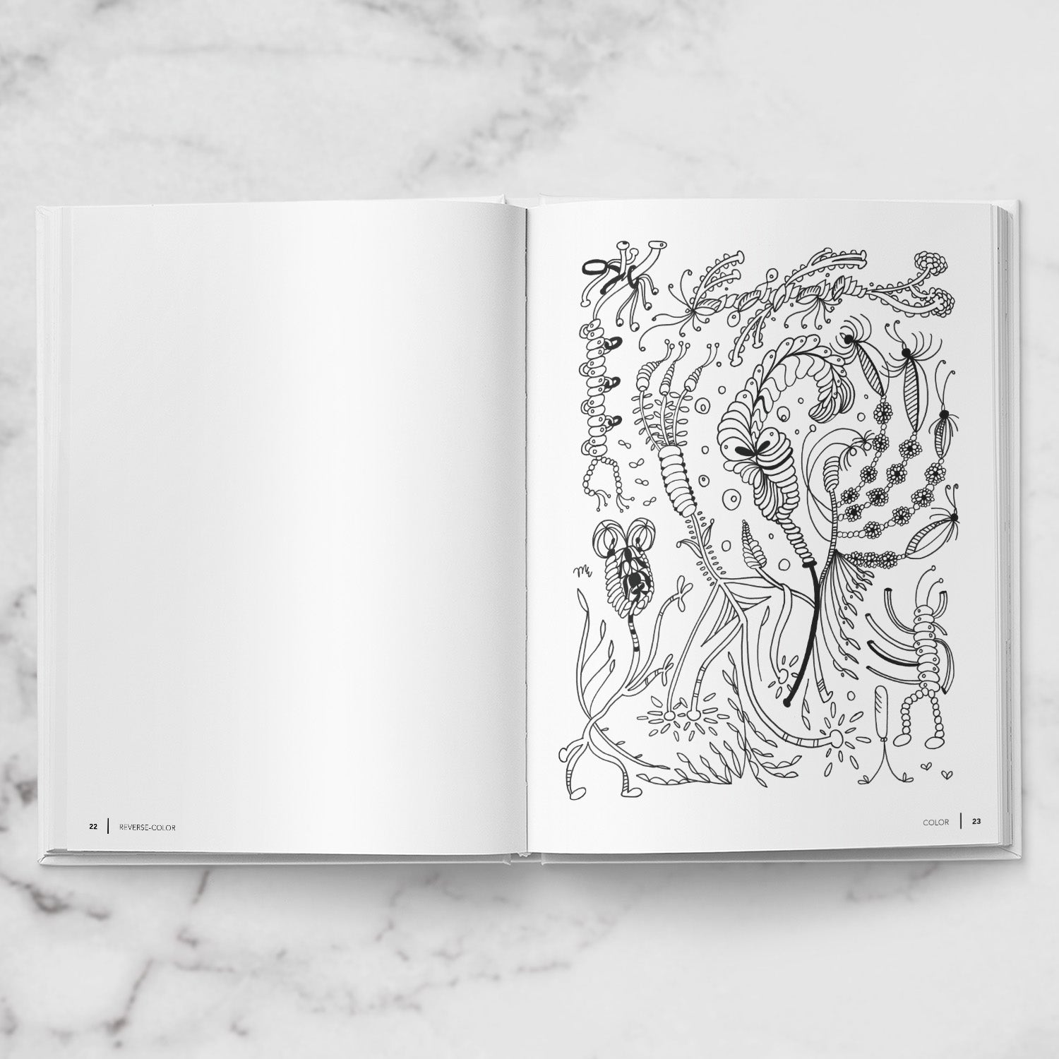Sit. Think. Write. Color. Doodle. A Poetic Coloring Book & Mindfulness Companion.