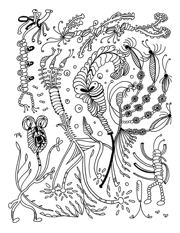 New! Meditative Adult Coloring Book Preview